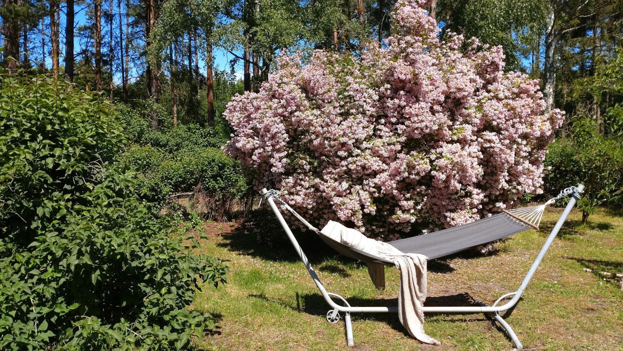Oesterlencharm Löderup エクステリア 写真